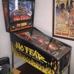 No Fear: Dangerous Sports Pinball Machine