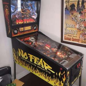 No Fear: Dangerous Sports Pinball Machine